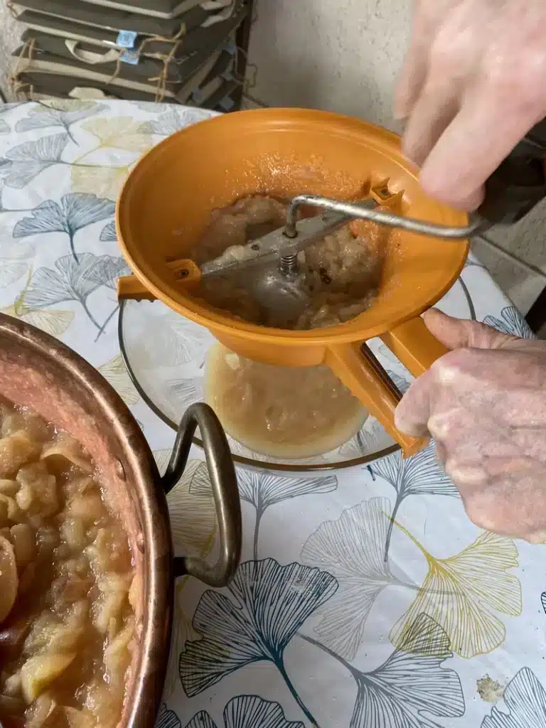 cuisson-des-pommes-ou-poires-pour-la-vitalite-et-la-sante //bien-etre-psy-therapie.fr