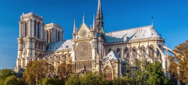 Notre-Dame à l'Honneur Un Joyau de la Culture Française bien être pour tous