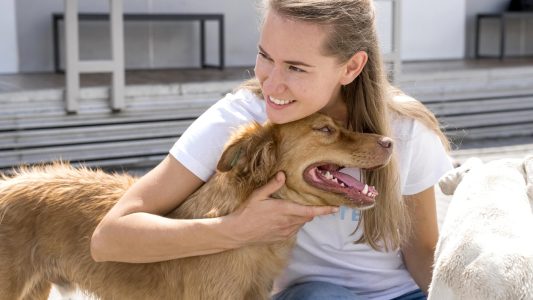 Câlin du chien